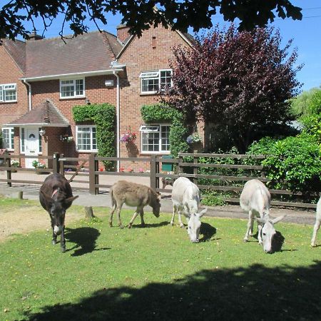 Hops Annex Vila Brockenhurst Exterior foto