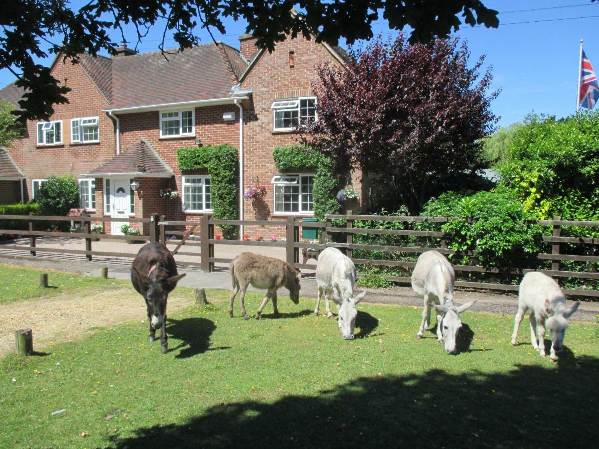 Hops Annex Vila Brockenhurst Exterior foto