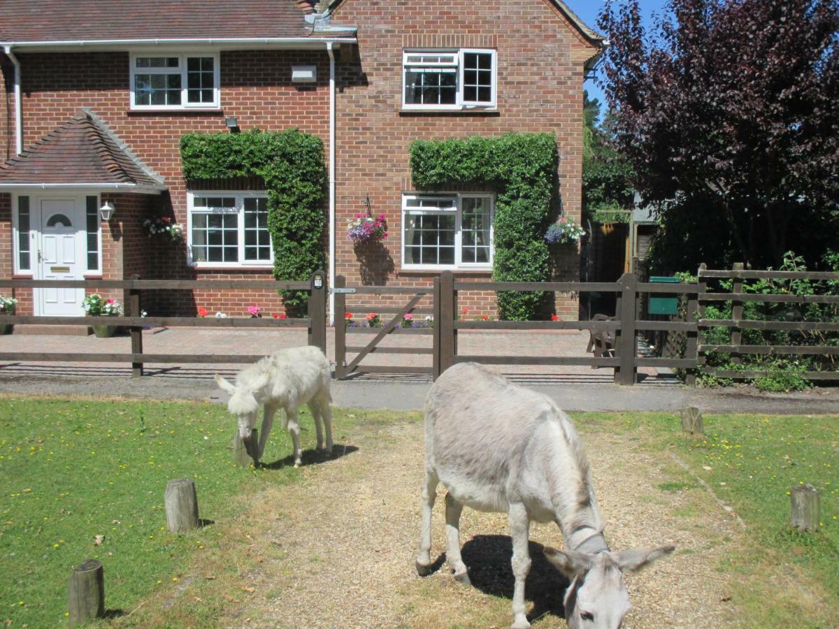 Hops Annex Vila Brockenhurst Exterior foto
